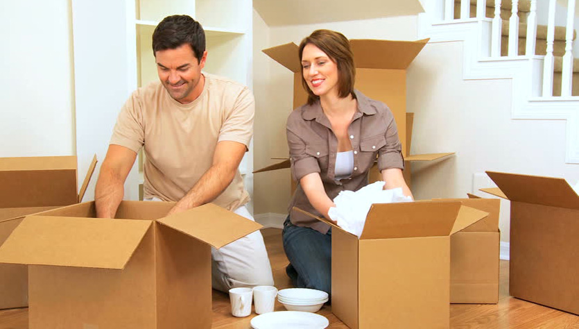 Removals McKinnon